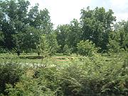 DSCF3056