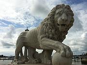 IMG 0925