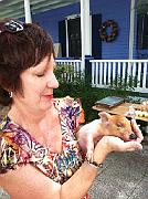 IMG 0956